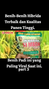 1KG BENIH PADI SIMBOK HIBRIDA PREMIUM ORIGINAL