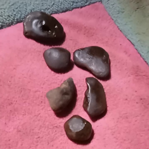 Batu Kocak Natural: Produk Unik untuk Hiasan