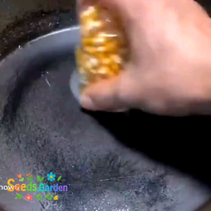 [TERLARIS] BIJI/BENIH JAGUNG ORANGE POPCORN ARGENTINA