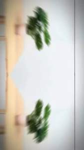 BÀN TRÀ BA CHÂN BT3C BÀN HỌC BÀN ĂN TRÒN PHÙ HỢP CHO KHÔNG GIAN DECOR Chất liệu 100% gỗ cao su tự nhiên