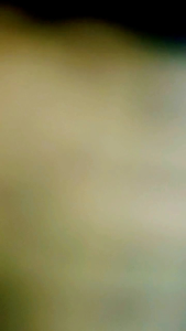 SARUNG JEMPOL GAMING FREE BOX MINI - SARUNG JEMPOL ANTI KERINGAT COCOK UNTUK BERMAIN GAMING SUPER RESPONSIF TERHADAP SENTUHAN DI LAYAR HP - Aksesoris gaming perlengkapan gaming