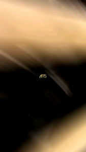 Cincin Kokka Desain Polos: Pilihan Tepat untuk Anda