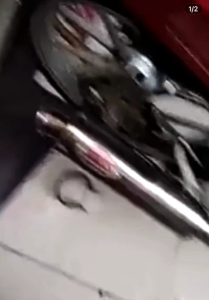 Slincer DBS Bas Ulem 25 cm dan 30 cm Inlet 38 dan 50