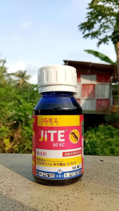 JITE SOLUSI HAMA ULAT PADA BATANG - COCOK UNTUK SEMUA JENIS TANAMAN