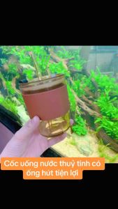 Cốc thủy tinh GorGous bọc da có nắp kèm ống hút - Ly thuỷ tinh bọc da sang chảnh chống bỏng pha sữa cafe 450m - Nari