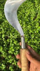 Sabit Baja PutihArit Rumput Baja Asli Sabit super tajam pemotong rumput-sabit pengaritan-baja asli super tajam