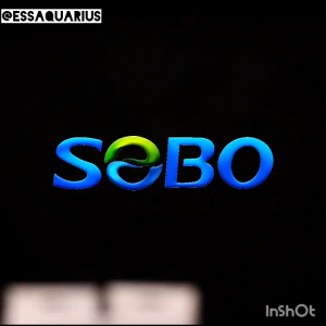 SB 304 Aquarium Stainless Steel Heater Temperature Controller Alat Pemanas akuarium 304不锈钢鱼缸加温棒 25w 50w 100w 200w 300w 500w