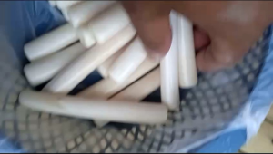 once pipa pipe pipo tulang sapi kebo import p 10cm 12cm