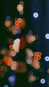 DRESS WANITA KAIN UNGGULJAYA AMARA KODE CB289 LAPIS TRIKOT LENGAN SOPAL