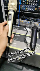 Mic Kabel Ashley DM Voice Profesional Microphone
