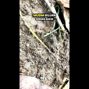 RACUN PEMBASMI SEMUT RAS SUPER AMPUH OBAT RACUN ANTI SEMUT