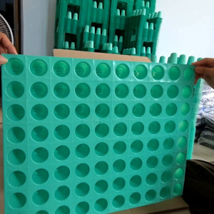 ถาดเพาะเมล็ด ถ้วยปลูกผักไฮโดรโปนิกส์ สีเขียว 80 หลุม เกรดA แบบหนา