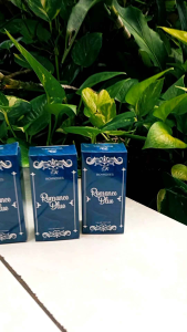 promo parfum BELI 1 DAPAT 3 BOTOL PARFUM COWOK SEGAR TAHAN LAMA