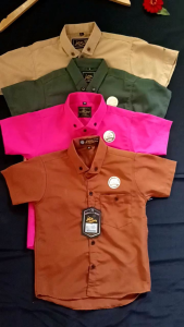 Kemeja Anak: Pilihan Nyaman & Gaya Kasual