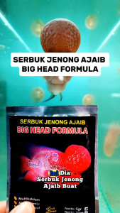 serbuk jenong ajaib big head formula Sebuk ajaib obat jenong Louhan fish lover