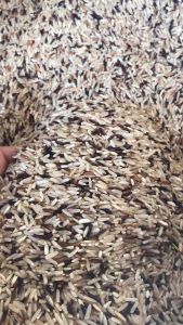 🚩♦️[สินค้าพร้อมส่ง]♦️🚩สินค้ายอดนิยม ข้าวกล้องผสม ไรซ์เบอรี่+หอมมะลิข้าวปลอดสารพิษเหมาะสำหรับผู้รักสุขภาพที่ควบคุมน้ำตาล สินค้าพร้อมส่งทันที