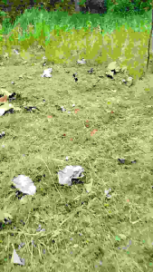 JARING KUTILANG JARING CANGKURILANG JARING GENTILANG JARING 2 INCI JARING 2 IN JARING 2 INCHI JARING BURUNG KUTILANG JALA PIKAT KUTILANG JALA PUKAT KUTILANG JARING JALA TILANG JALA JEBAK BURUNG KUTILANG JALA JEBAK JARING BURUNG HITAM JARING