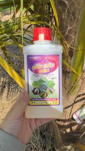Sâu đầu đen đuông dừa bọ dừa sâu và côn trùng hại cây chai 450ml