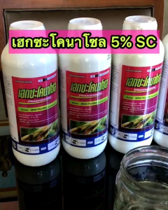 สารป้องกันกำจัดโรคพืช กำจัดโรคได้กว้างขวาง ใบไหม้ เมล็ดด่าง ใบจุดในกล้วยไม้