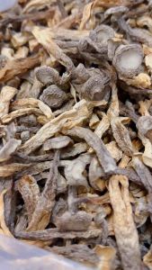 Lu Rong Jun鹿茸菇干货特级鹿茸菌菇包香菇类煲汤食材干货