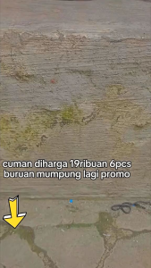 PROMO!!! Sabun Harmony 6/10 pcs