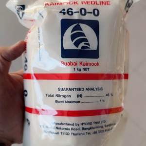 46-0-0 เรือใบ แบบเกล็ด ผสมน้ำฉีด ขนาด 1kg ใช้บำรุง ต้นใบ