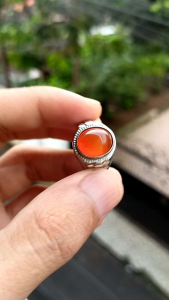 Cincin Batu Sulaiman madu Elegan