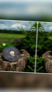 ยูนานหวงอิ่งชีจื่อปิ่ง ขนาด357กรัม