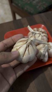 Bawang Putih Fresh 1 kg 500 250 gram bersih murah