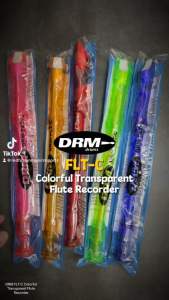 Colorful Transparent Flute Recorder: A Fun & Affordable Musical Instrument
