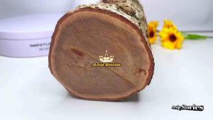 bahan kayu stigi termurah per1kg gram Material Kayu Stigi 1 Kg Kayu Stigi Untuk Kerajinan Kayu Stigi Ramah Lingkungan - Lazada