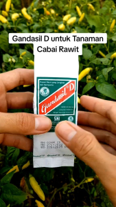 Pupuk Daun Serbaguna GANDASIL D 100gr terbaik