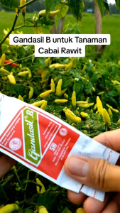 Pupuk Buah dan Bunga Serbaguna GANDASIL B 100 gr terbaik