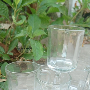 cangkir kopi bahan kaca 6pcs/gelas kopi