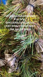 SAKURAB / SEBUJIENG PER BUNDLE 350g