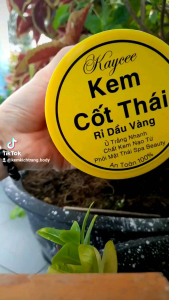 [GIÁ SỈ] COMBO 5HỘP. KEM BODY CỐT THÁI MIX SERUM KÍCH TRẮNG 500G