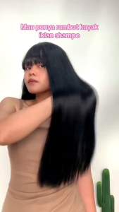 Wig Rambut Wanita Model Lurus Korean Style