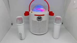 Loa Bluetooth Ktv Y11 Kèm 2 Micro Sang Trọng Có Led Thiết kế độc đáo sang trọng nhỏ gọn