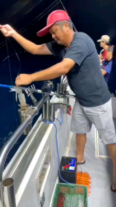 APOLLO SQUID JIG - UMPAN MANCING CUMI《1 PACK ISI 5 BIJI》