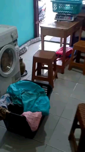 Penghilang Noda Jamur Bintik Hitam Pada Pakaian