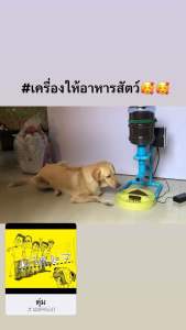 เครื่องให้อาหารสัตว์ อัตโนมัติ