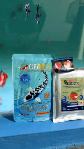 Penjernih kolam Original optimal mix claykoi+ & Aquaenzym