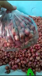 Bawang Merah Super 1kg: Manfaat dan Cara Penggunaannya