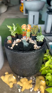 D446 น้ำพุ น้ำผุด โอ่งน้ำผุดถ้วยทรงสูง 💥แถมฟรีปั๊มน้ำ💥 อ่าง อ่างน้ำพุ อ่างน้ำผุด  ตุ๊กตาน้ำพุ  อ่างศิราโรมัน น้ำผุด ถ้วยน้ำผุด ถ้วย แจกัน แจกันโรมัน แต่งสวน แต่งบ้าน ตกแต่งสำนักงาน คอนโด รีสอร์ท   Fountain Waterfall Overflow  Flowing water Stream   ฯลฯ