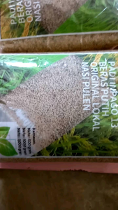 Benih bibit padi INPAGO 13 SUPER LOKAL BERAS PUTIH PULEN 5 KG