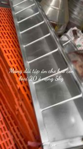 Máng tập ăn loại dài 125m thiết kế 20 ô cho heo lợn con