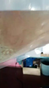 1 Box Sea Monkey Air Masin/Artemia Nyos/Live Food/Artemia