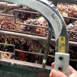 EGREK KLS PALM KING LONG ULTRA ORIGINAL MALAYSIA