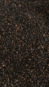 Cà phê Hạt Nguyên Chất 50% Robusta 50% Arabica Đaklak