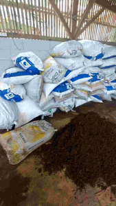 Sekam sekam padi kulit gabah kemasan karung 25kg media tanam murah permentasi alami